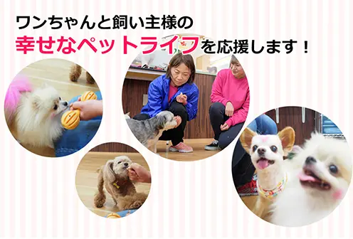 ペットサロン・ガーデン
