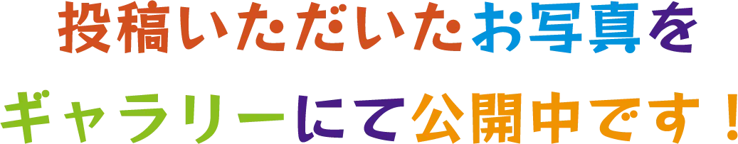 #西ハロフォトコンテスト