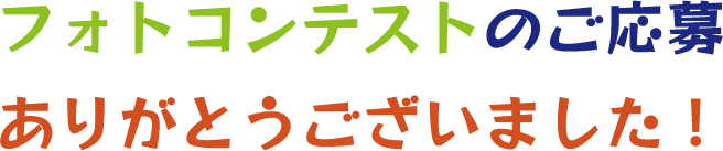 #西ハロフォトコンテスト